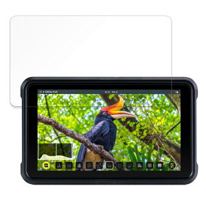 �ی�t�B���� ATOMOS NINJA V / SHINOBI ������ �u���[���C�g�J�b�g �t�B���� �y9H���d�x ���˒ጸ�z �����K���X�Ɠ����̍��d�x ���{��