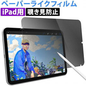 iPad mini A17 Pro 2024 対応 覗き見防止 ペーパーライクフィルム 横向きタイプ 覗き見防止 ペーパーライクフィルム 横向きタイプ 保護フィルム 紙のような描き心地 ブルーライトカット アンチグレア 反射低減