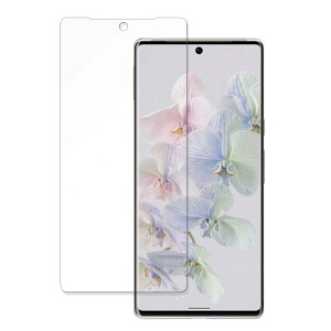 �y�|�C���g2�{�z Google Pixel 6 Pro ������ �ی�t�B���� �y�ȖʑΉ� ���˒ጸ�z �L�Y�C�� ���{��