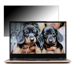 y|Cg2{z THIRDWAVE raytrek X4-T 14C` 16:9 Ή `h~ vCoV[tB^[ y^uESV[z u[CgJbg یtB ˖h~