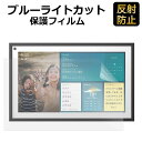 【ポイント2倍】 Echo Show 15 用 保護フィルム ブルーライトカット フィルム 液晶保護フィルム 反射低減
