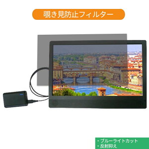 �y�|�C���g2�{�z SKNET SK-HDM15 15.6�C���` 16:9 ������ �`�����h�~ �v���C�o�V�[ �t�B���^�[ �u���[���C�g�J�b�g �ی�t�B���� ���˖h�~�^�u�E�S���V�[����