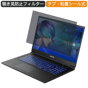 �y�|�C���g2�{�z �h�X�p�� raytrek R7-TA-70 17.3�C���` �Ή� �`�����h�~ �v���C�o�V�[ �t�B���^�[ �u���[���C�g�J�b�g �ی�t�B���� ���˖h�~�^�u�E�S���V�[����