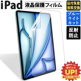 【ポイント2倍】 iPad ブルーライトカット 保護フィルム iPad Pro 11インチ 13インチ M5 2025 M4 2024 iPad 第11世代 A16 iPad Air 11 13 M3 iPad 第10世代 iPad mini A17 Pro mini7 第7世代 mini6 pro 11 第4世代 12.9 Air 第5世代 第4世代 iPad 10.2 第9世代 反射防止