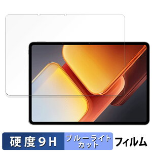 vivo iQOO Pad2 Pro ������ �ی�t�B���� �u���[���C�g�J�b�g �t�B���� �y9H���d�x ���˒ጸ�z �����K���X�Ɠ����̍��d�x ���{��