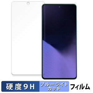 �y�y�V�X�[�p�[SALE �|�C���g2�{�z Xiaomi POCO X6 Neo 5G ������ �ی�t�B���� �u���[���C�g�J�b�g �t�B���� �y9H���d�x ����d�l�z �����K���X�Ɠ����̍��d�x ���{��