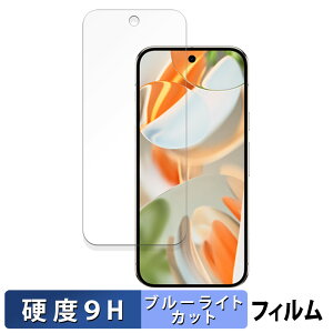 Google Pixel 9 Pro (  ) ( O[O sNZ 9 v )  یtB u[CgJbg tB y9Hdx dlz KXƓ̍dx {