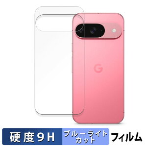Google Pixel 9 ( w ) ( O[O sNZ 9 )  یtB u[CgJbg tB y9Hdx dlz KXƓ̍dx {