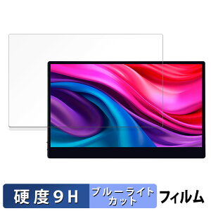 JAPANNEXT JN-MD-IPS133UHDR-T ������ �ی�t�B���� �u���[���C�g�J�b�g �t�B���� �y9H���d�x ����d�l�z �����K���X�Ɠ����̍��d�x ���{��