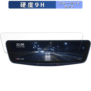 ALPINE DVR-DM1000A p یtB u[CgJbg tB y9Hdx dlz KXƓ̍dx