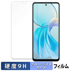 �y�|�C���g2�{�z vivo Y100t 5G ������ �ی�t�B���� �u���[���C�g�J�b�g �t�B���� �y9H���d�x ����d�l�z �����K���X�Ɠ����̍��d�x ���{��