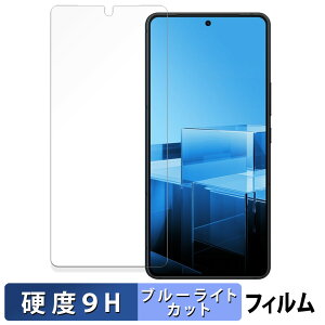 �y�|�C���g2�{�z ASUS Zenfone 11 Ultra ������ �ی�t�B���� �u���[���C�g�J�b�g �t�B���� �y9H���d�x ����d�l�z �����K���X�Ɠ����̍��d�x ���{��