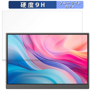 JAPANNEXT JN-MD-IPS105FHDPR ������ �ی�t�B���� �u���[���C�g�J�b�g �t�B���� �y9H���d�x ����d�l�z �����K���X�Ɠ����̍��d�x ���{��