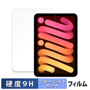 Apple iPad mini ( 6 E 2021Nf )  یtB u[CgJbg tB y9Hdx dlz KXƓ̍dx {