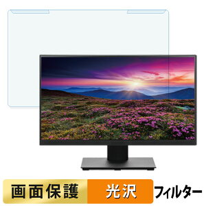 ���O���ȒP PRINCETON PTF-H222W-BK 21.5�C���` 16:9 ������ �u���[���C�g�J�b�g �t�B���^�[ ����d�l �t���ی� �v���e�N�^�[