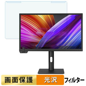 OȒP ASUS ProArt Display PA24US 23.6C` 16:9  u[CgJbg tB^[ dl tی veN^[