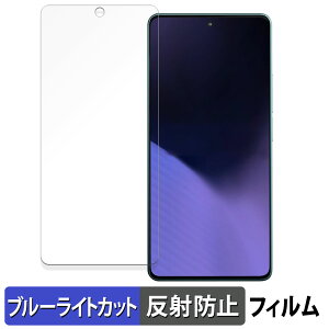 �y�|�C���g2�{�z Xiaomi POCO X6 Neo 5G ������ �ی�t�B���� �u���[���C�g�J�b�g �t�B���� �y���˒ጸ�z ���{��