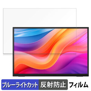 �y�|�C���g2�{�z JAPANNEXT JN-MD-IPS13U2KP ������ �ی�t�B���� �u���[���C�g�J�b�g �t�B���� �y���˒ጸ�z ���{��