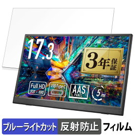 IODATA EX-YC172A-F 向けの 17.3インチ 16:9 ブルーライトカット フィルム 液晶保護フィルム 【反射低減】