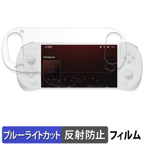 �y�|�C���g2�{�z AYANEO Pocket EVO ������ �ی�t�B���� �u���[���C�g�J�b�g �t�B���� �y���˒ጸ�z ���{��