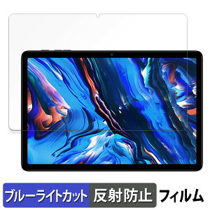 Wpawa HT10-A ������ �ی�t�B���� �u���[���C�g�J�b�g �t�B���� �y���˒ጸ�z ���{��