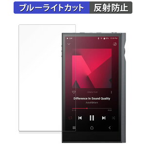 �y�|�C���g2�{�z Astell&Kern KANN ULTRA ������ �ی�t�B���� �u���[���C�g�J�b�g �t�B���� �y���˒ጸ�z ���{��