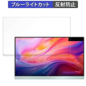 JAPANNEXT JN-MD-i133FHDR-T ������ �ی�t�B���� �u���[���C�g�J�b�g �t�B���� �y���˒ጸ�z ���{��