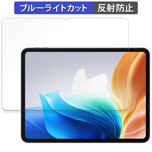 �y�|�C���g2�{�z OPPO Pad Neo ������ �ی�t�B���� �u���[���C�g�J�b�g �t�B���� �y���˒ጸ�z ���{��