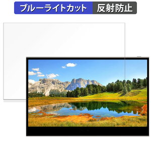 innocn 13.3�C���` �L�@EL���o�C�����j�^�[ 13K1F ������ �ی�t�B���� �u���[���C�g�J�b�g �t�B���� �y���˒ጸ�z ���{��