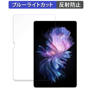 DOOGEE T30 Max ������ �ی�t�B���� �u���[���C�g�J�b�g �t�B���� �y���˒ጸ�z ���{��