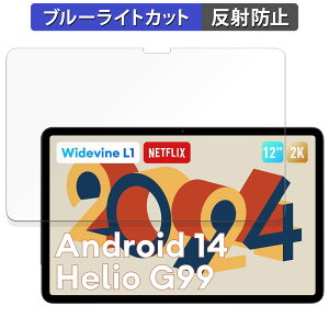 �y�|�C���g2�{�z Headwolf HPad6 / HPad6 Pro ������ �ی�t�B���� �u���[���C�g�J�b�g �t�B���� �y���˒ጸ�z ���{��