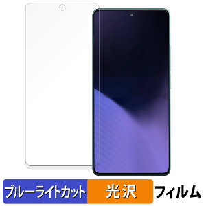 �y�|�C���g2�{�z Xiaomi POCO X6 Neo 5G ������ �ی�t�B���� �u���[���C�g�J�b�g �t�B���� �y����d�l�z ���{��