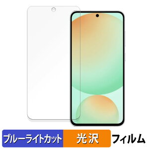 �y�|�C���g2�{�z Samsung Galaxy S24 FE ������ �ی�t�B���� �u���[���C�g�J�b�g �t�B���� �y����d�l�z ���{��