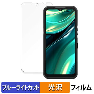 OUKITEL WP39 ������ �ی�t�B���� �u���[���C�g�J�b�g �t�B���� �y����d�l�z ���{��