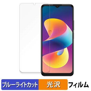 �y�|�C���g2�{�z TCL 50 LE ������ �ی�t�B���� �u���[���C�g�J�b�g �t�B���� �y����d�l�z ���{��