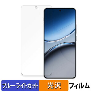 �y�|�C���g2�{�z OnePlus Nord 4 ������ �ی�t�B���� �u���[���C�g�J�b�g �t�B���� �y����d�l�z ���{��