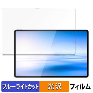 NEC LAVIE Tab T14 T1495/HAS (14.5�^���C�h�E2024�N�t���f��) ������ �ی�t�B���� �u���[���C�g�J�b�g �t�B���� �y����d�l�z ���{��