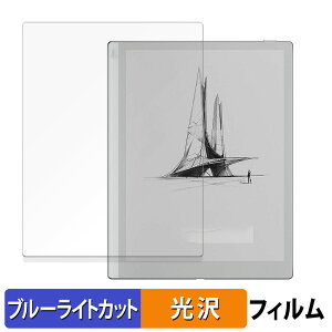 Onyx BOOX Go 10.3 ������ �ی�t�B���� �u���[���C�g�J�b�g �t�B���� �y����d�l�z ���{��