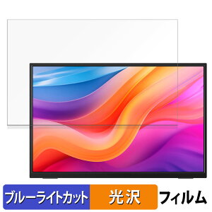 �y�|�C���g2�{�z JAPANNEXT JN-MD-IPS13U2KP ������ �ی�t�B���� �u���[���C�g�J�b�g �t�B���� �y����d�l�z ���{��