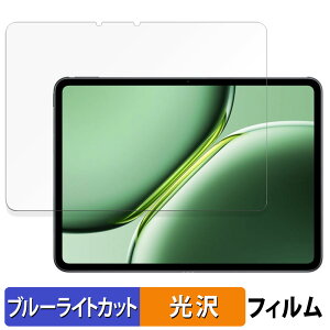 �y�|�C���g2�{�z OnePlus Pad Pro ������ �ی�t�B���� �u���[���C�g�J�b�g �t�B���� �y����d�l�z ���{��