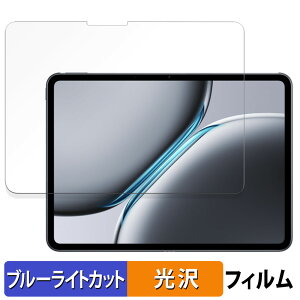 �y�|�C���g2�{�z OnePlus Pad 2 ������ �ی�t�B���� �u���[���C�g�J�b�g �t�B���� �y����d�l�z ���{��