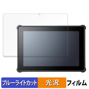 HAGIWARA Solutions ZEROSHOCK TABLET BIZ LZ-WD10/W2 ������ �ی�t�B���� �u���[���C�g�J�b�g �t�B���� �y����d�l�z ���{��