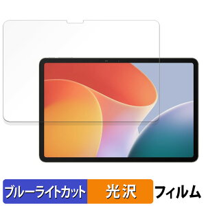�y8/11 1:59�� �|�C���g2�{�z Infinix XPAD ������ �ی�t�B���� �u���[���C�g�J�b�g �t�B���� �y����d�l�z ���{��