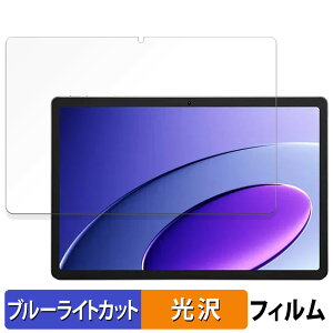 TECNO MEGAPAD 10 ������ �ی�t�B���� �u���[���C�g�J�b�g �t�B���� �y����d�l�z ���{��