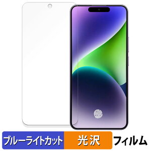�y�|�C���g2�{�z OUKITEL P1 ������ �ی�t�B���� �u���[���C�g�J�b�g �t�B���� �y����d�l�z ���{��