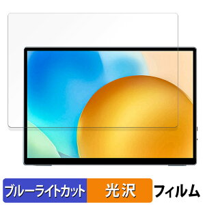 VisionOwl 10.5�C���` ���o�C�����j�^�[ XL-105T �ی�t�B���� �u���[���C�g�J�b�g �t�B���� �y ����d�l �z ���{��