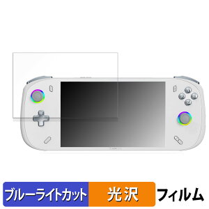 �y�|�C���g2�{�z AOKZOE A2 ������ �ی�t�B���� �u���[���C�g�J�b�g �t�B���� �y����d�l�z ���{��