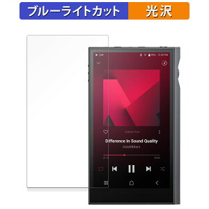 �y�|�C���g2�{�z Astell&Kern KANN ULTRA ������ �ی�t�B���� �u���[���C�g�J�b�g �t�B���� �y����d�l�z ���{��