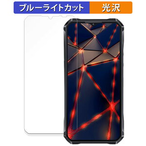 �y�|�C���g2�{�z OUKITEL WP33 Pro ������ �ی�t�B���� �u���[���C�g�J�b�g �t�B���� �y����d�l�z ���{��