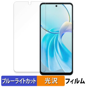 vivo Y100t 5G ������ �ی�t�B���� �u���[���C�g�J�b�g �t�B���� �y����d�l�z ���{��